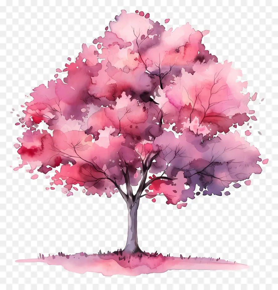 خطة شجرة الألوان المائية，الزهور الوردية PNG