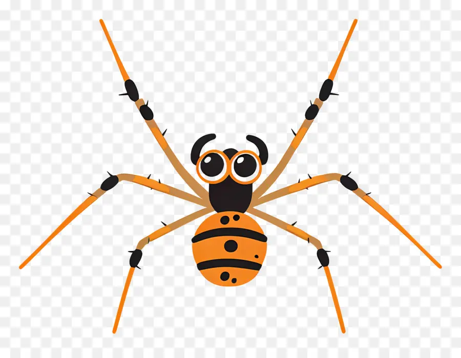 العنكبوت，عنكب PNG