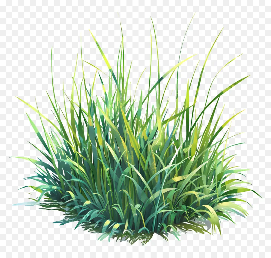 العشب الأخضر，النباتات الخضراء PNG
