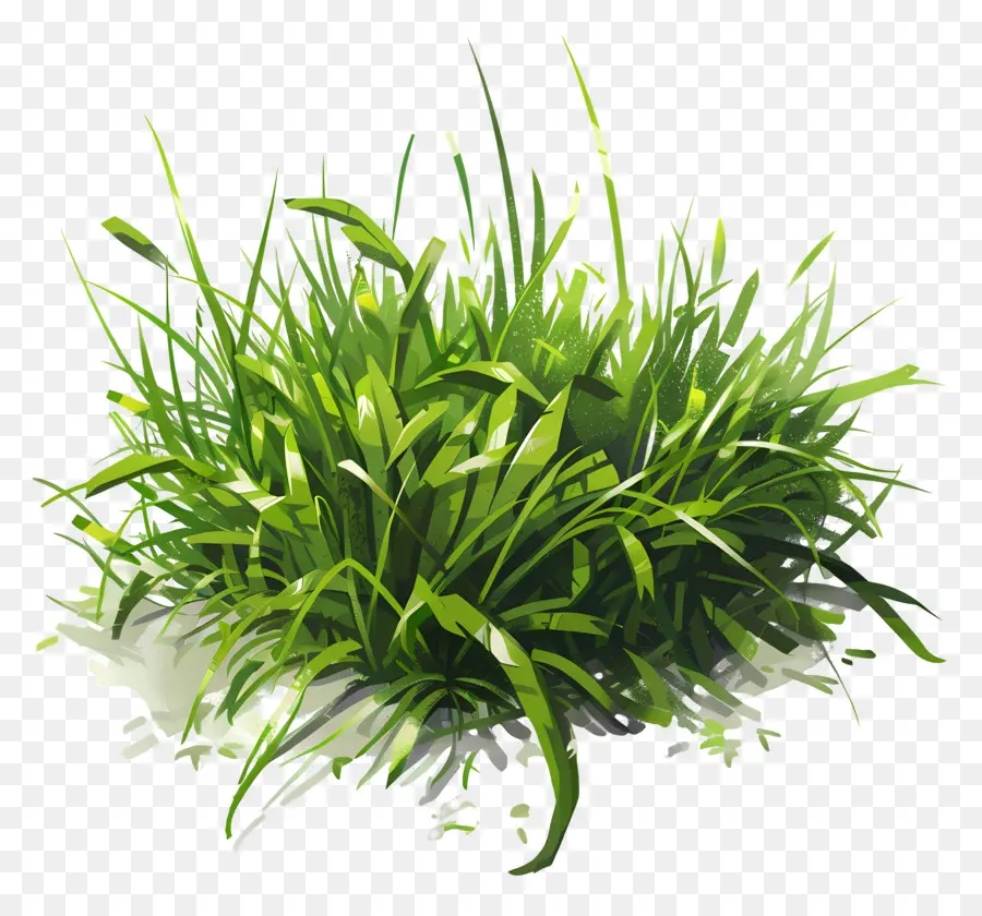 العشب الأخضر，العشب PNG
