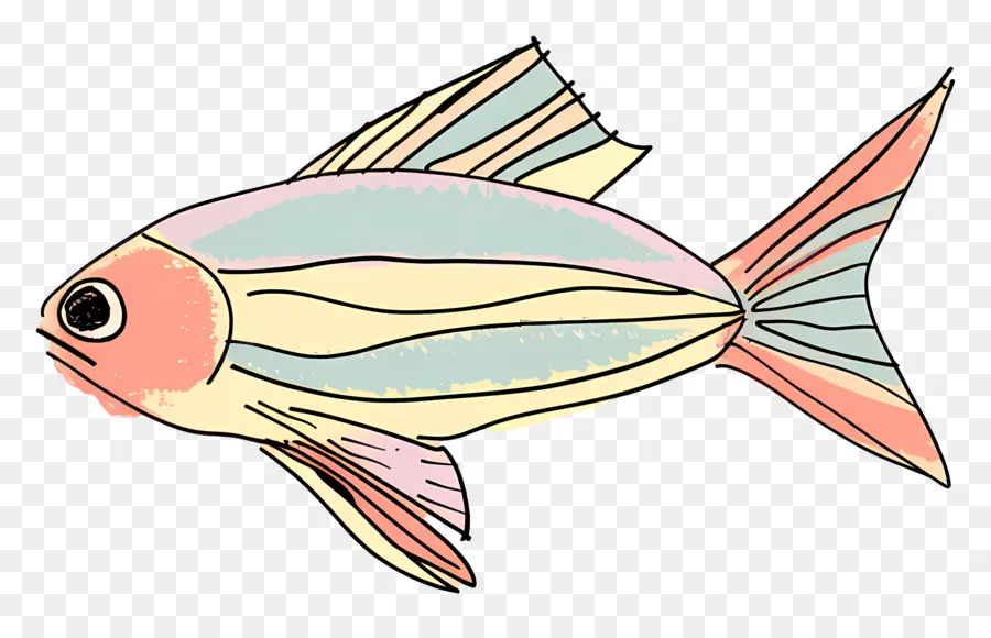 الأسماك，الأسماك التوضيح PNG