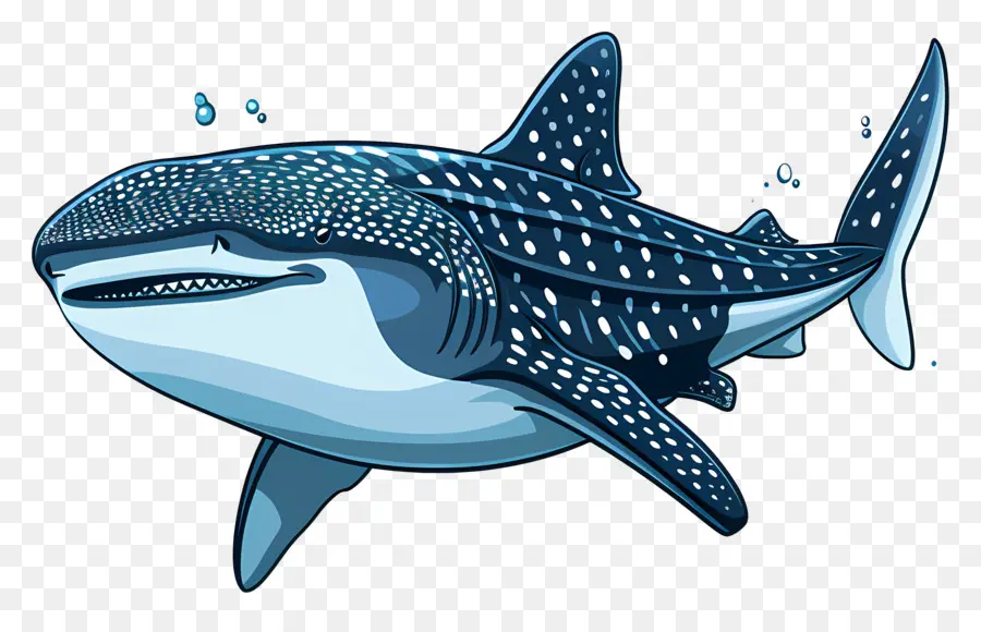 القرش الحوت，الكرتون PNG