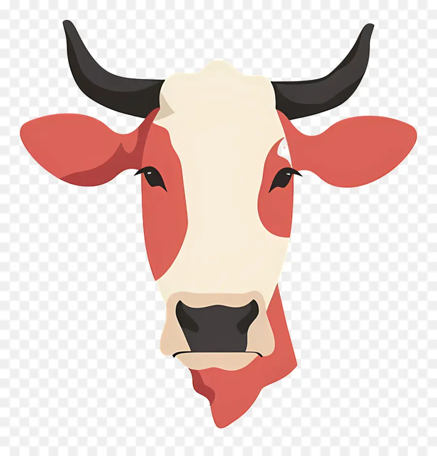 البقرة，الحيوان PNG