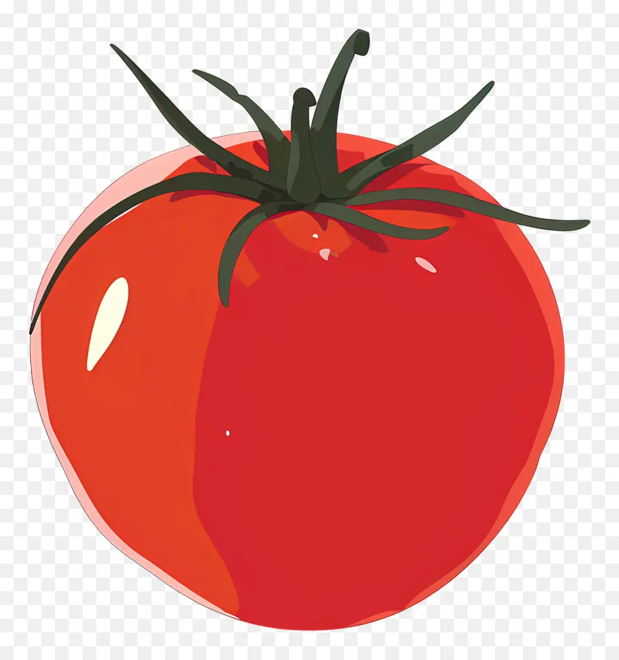 الطماطم，الأسرة الباذنجان PNG