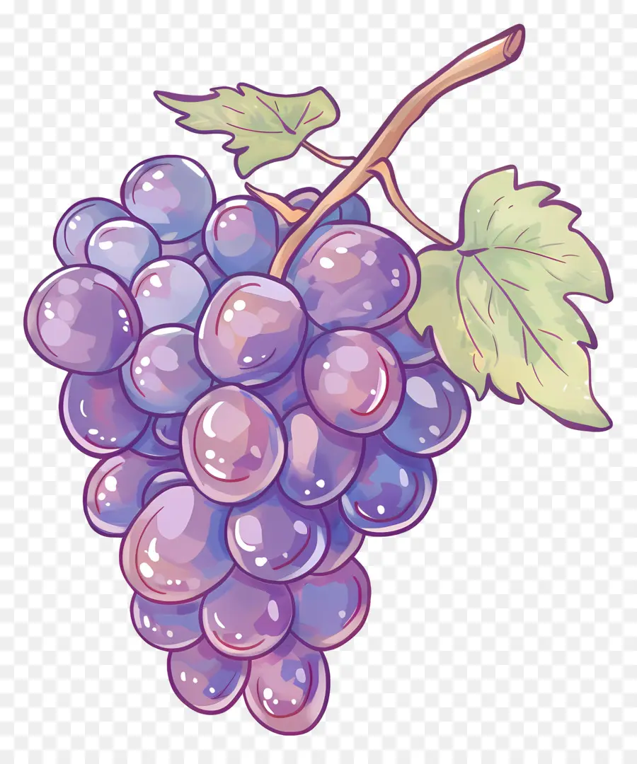 العنب，العنب الأرجواني PNG