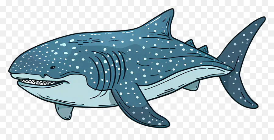 القرش الحوت，الكرتون القرش PNG