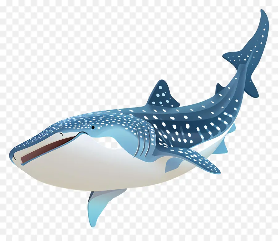 القرش الحوت，الحياة البحرية PNG