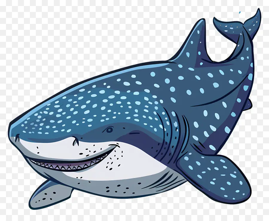 القرش الحوت，ودية القرش PNG