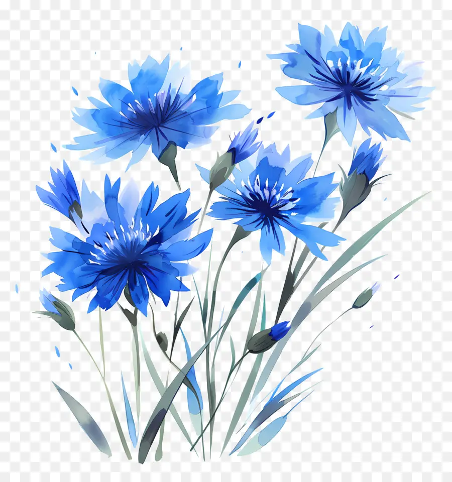تدفقات الذرة الزرقاء，الزهور الزرقاء PNG