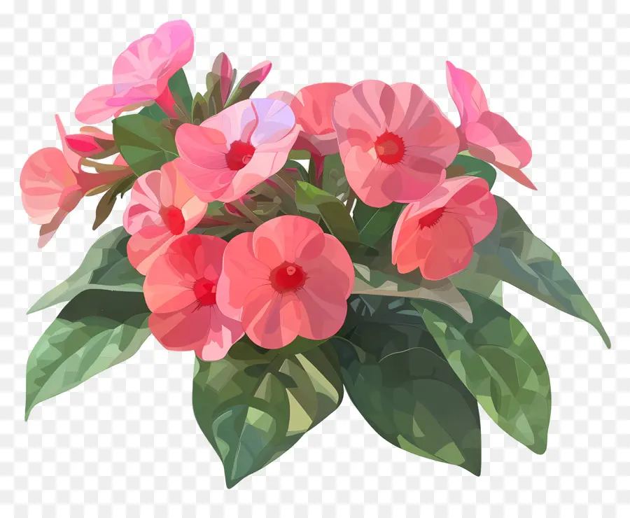 فن الزهور الرقمية，زهرة جيربيرا الوردي PNG