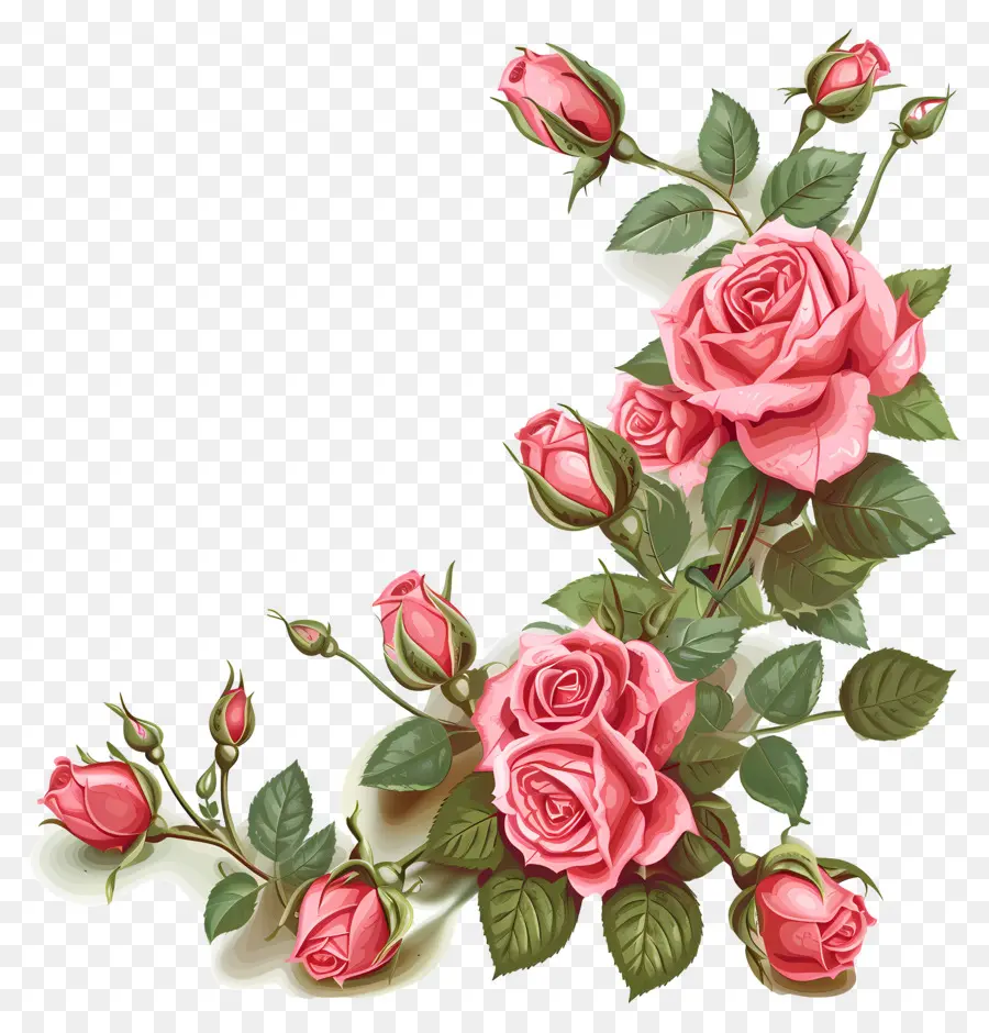 حديقة الورود，الوردي الورود PNG