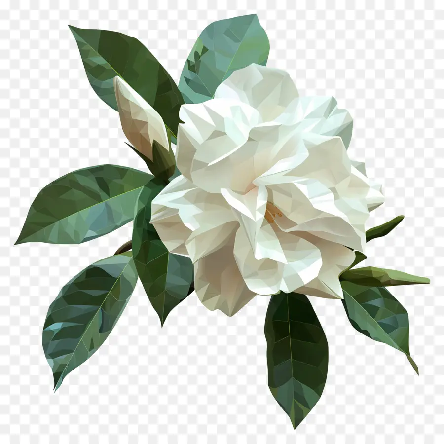 زهرة رقمية，زهرة بيضاء PNG