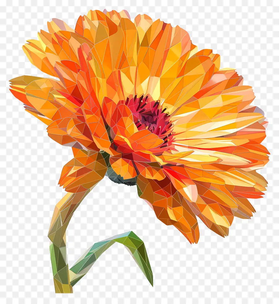 زهرة رقمية，زهرة منخفضة البلوريا PNG