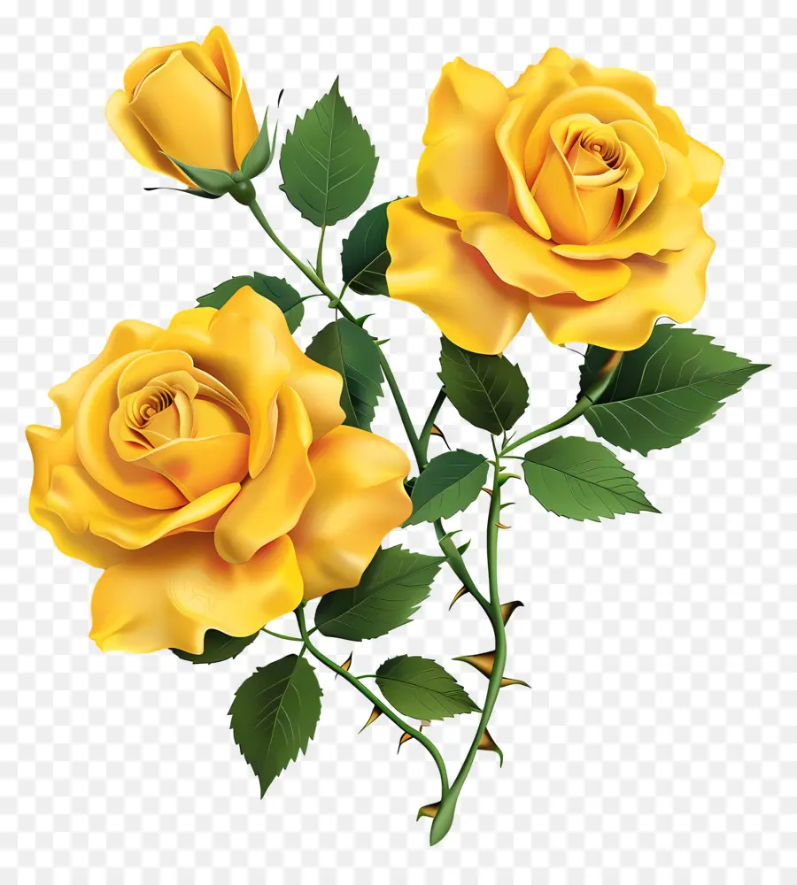 حديقة الورود，الورود الصفراء PNG