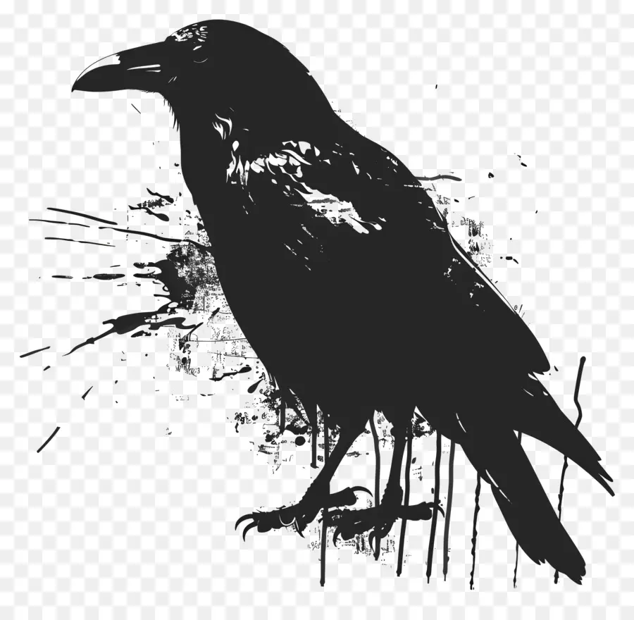 الغراب خيال，الطيور السوداء PNG