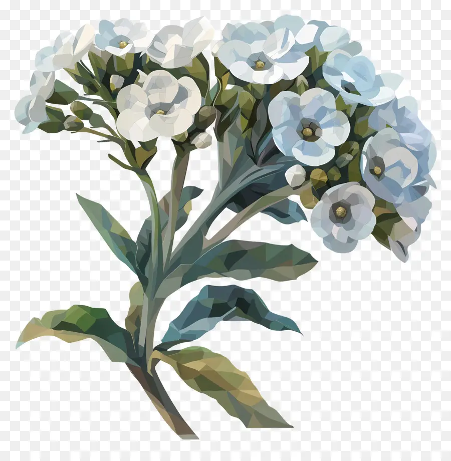 فن الزهور الرقمية，الزهور البيضاء PNG