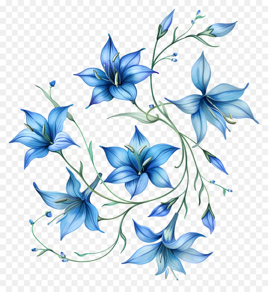 الزهور الزرقاء，جذع الزهرة PNG
