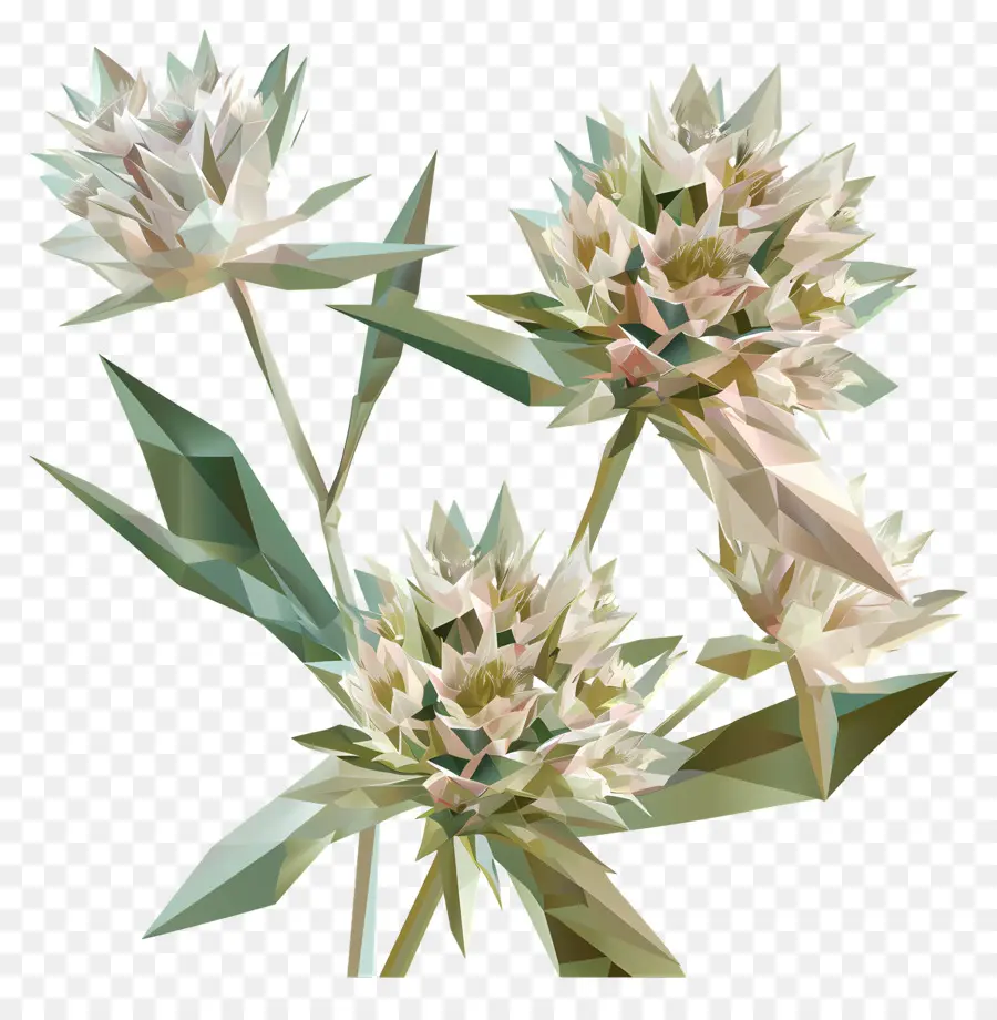زهرة رقمية，مجردة الزهور PNG