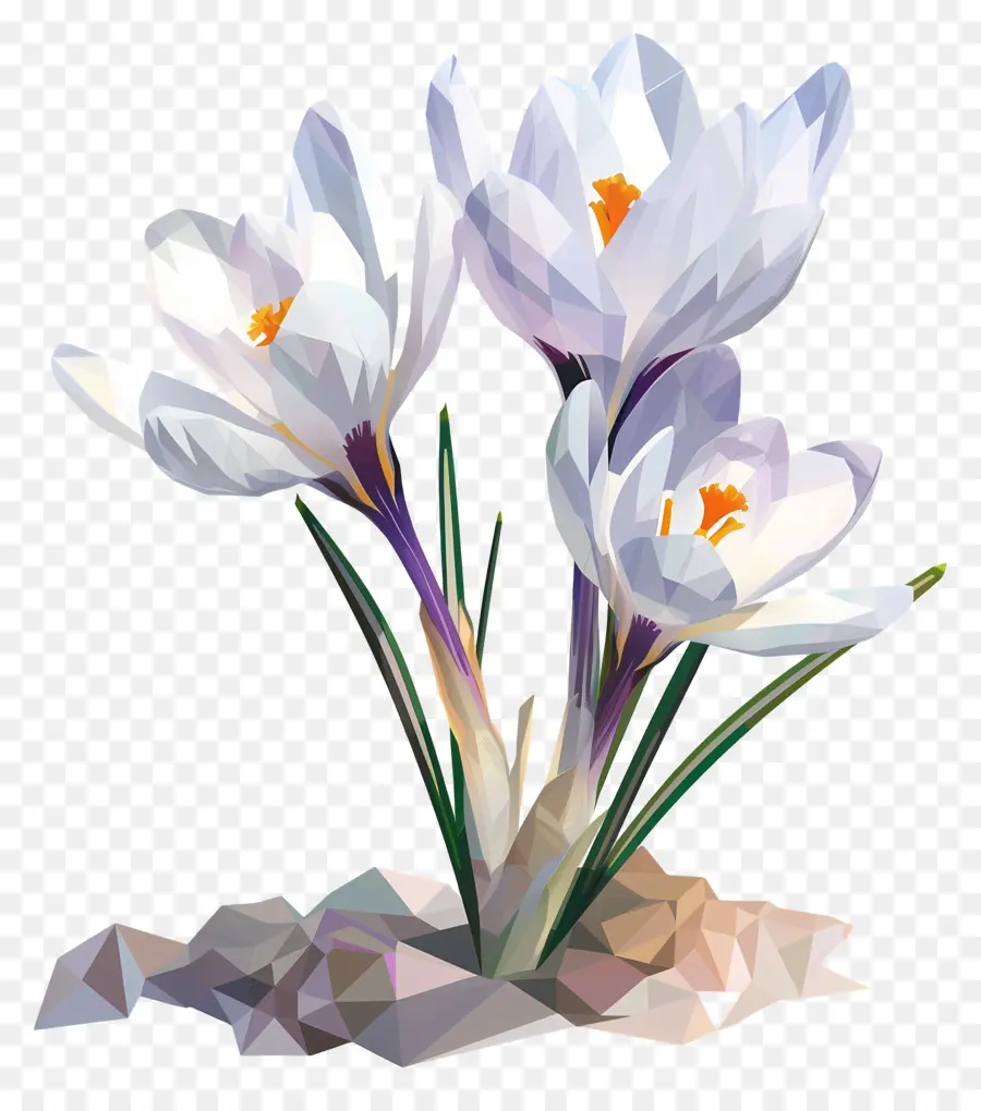 زهرة رقمية，الأبيض زعفران PNG