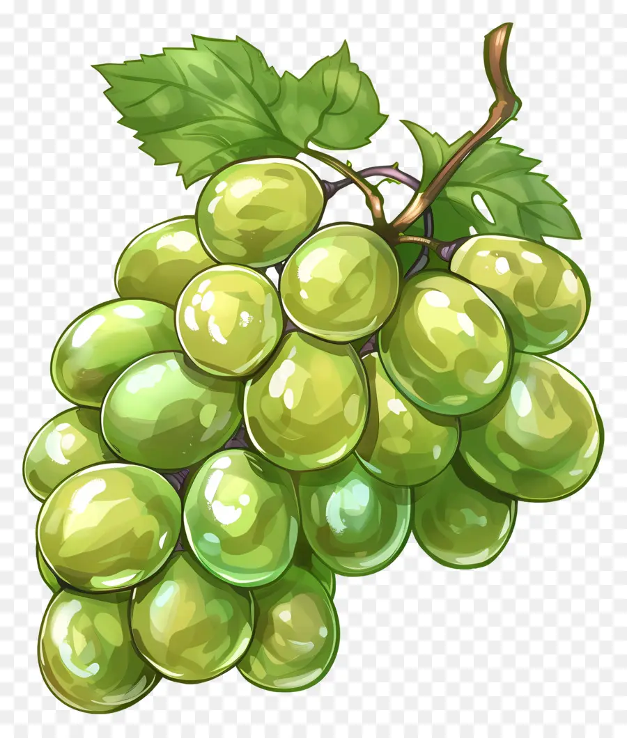 العنب الأخضر，الفاكهة PNG