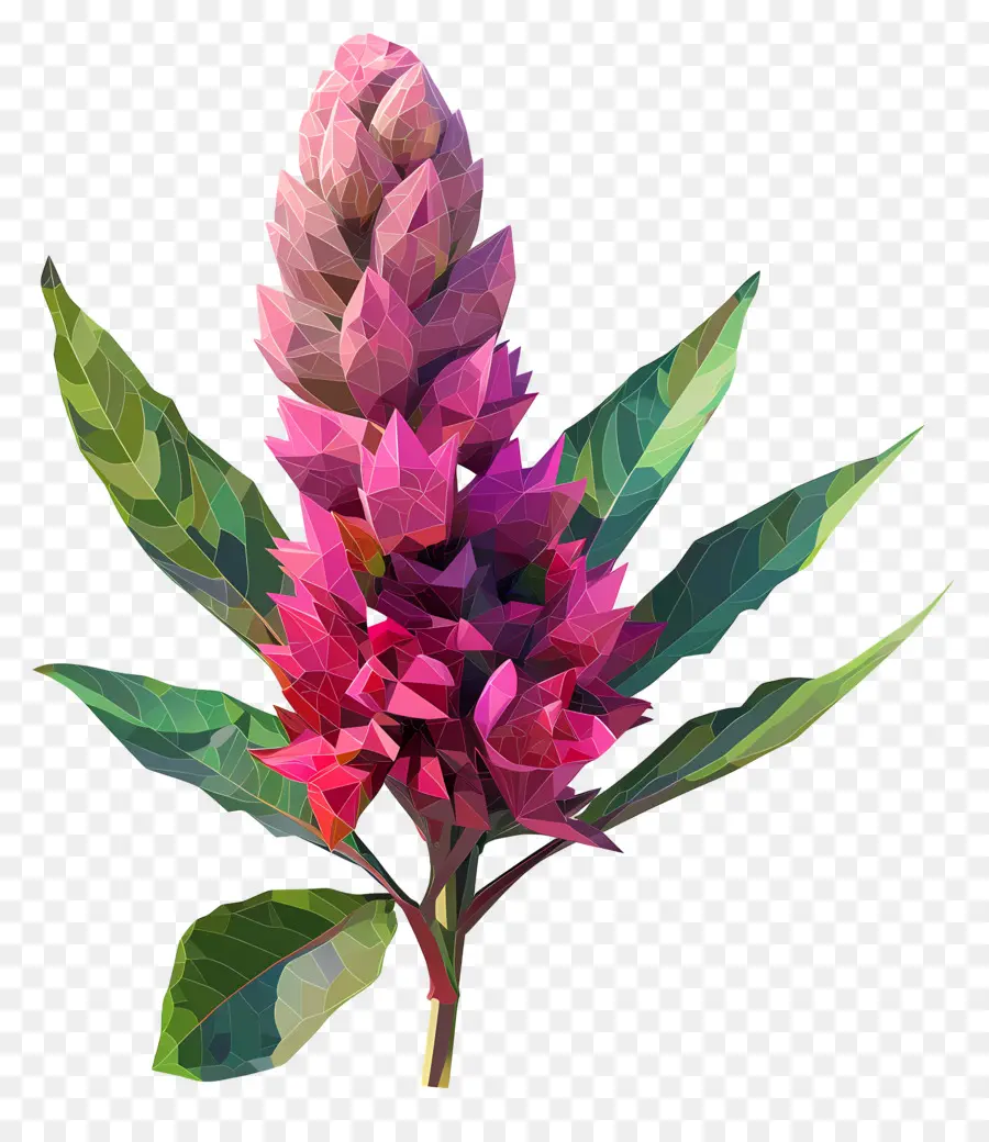 زهرة رقمية，زهرة الوردي PNG