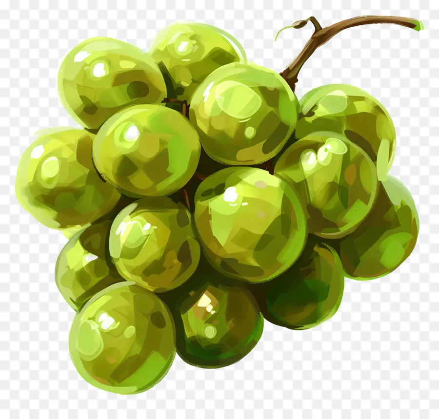 العنب الأخضر，الفاكهة الطازجة PNG