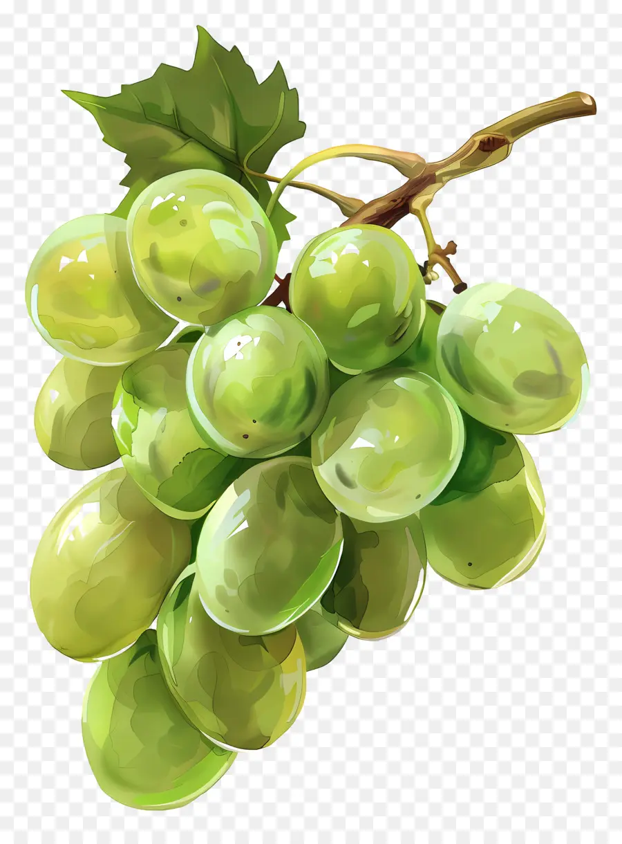 العنب الأخضر，مجموعة العنب PNG