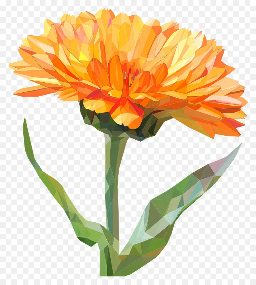 زهرة رقمية，زهرة البرتقال PNG
