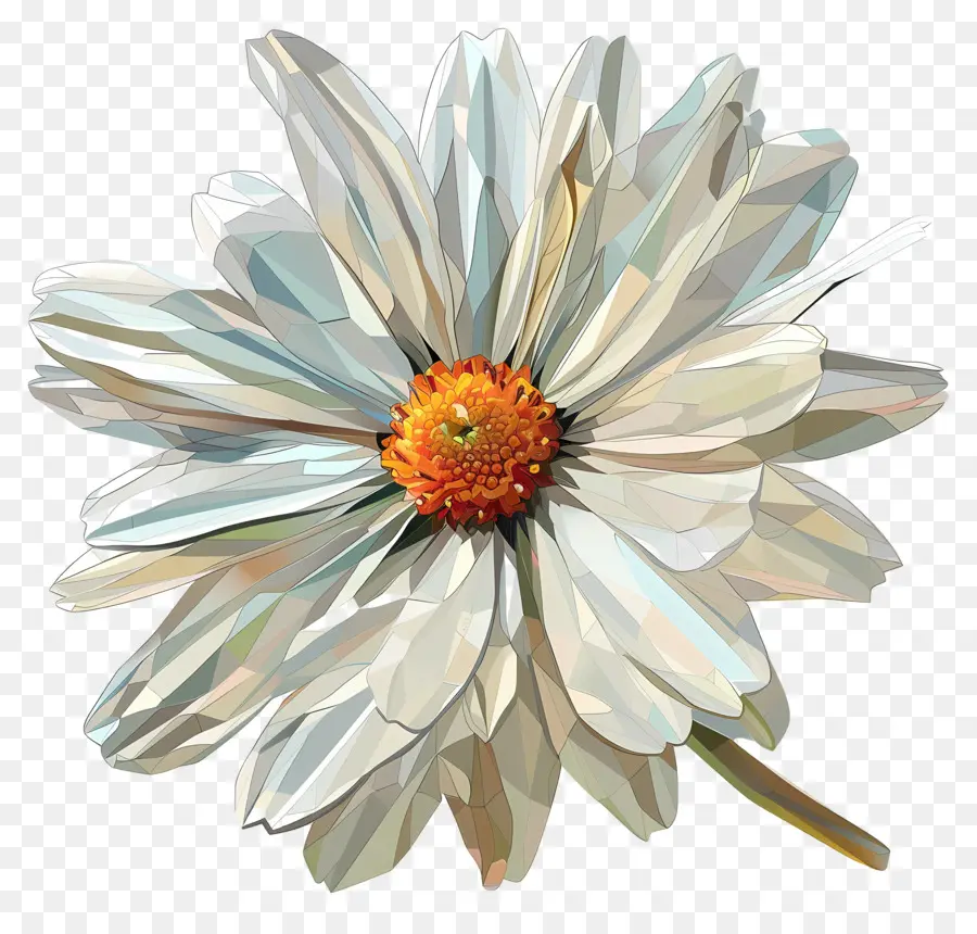 فن الزهور الرقمية，ديزي الأبيض PNG