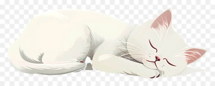 القط النوم，القط الأبيض PNG