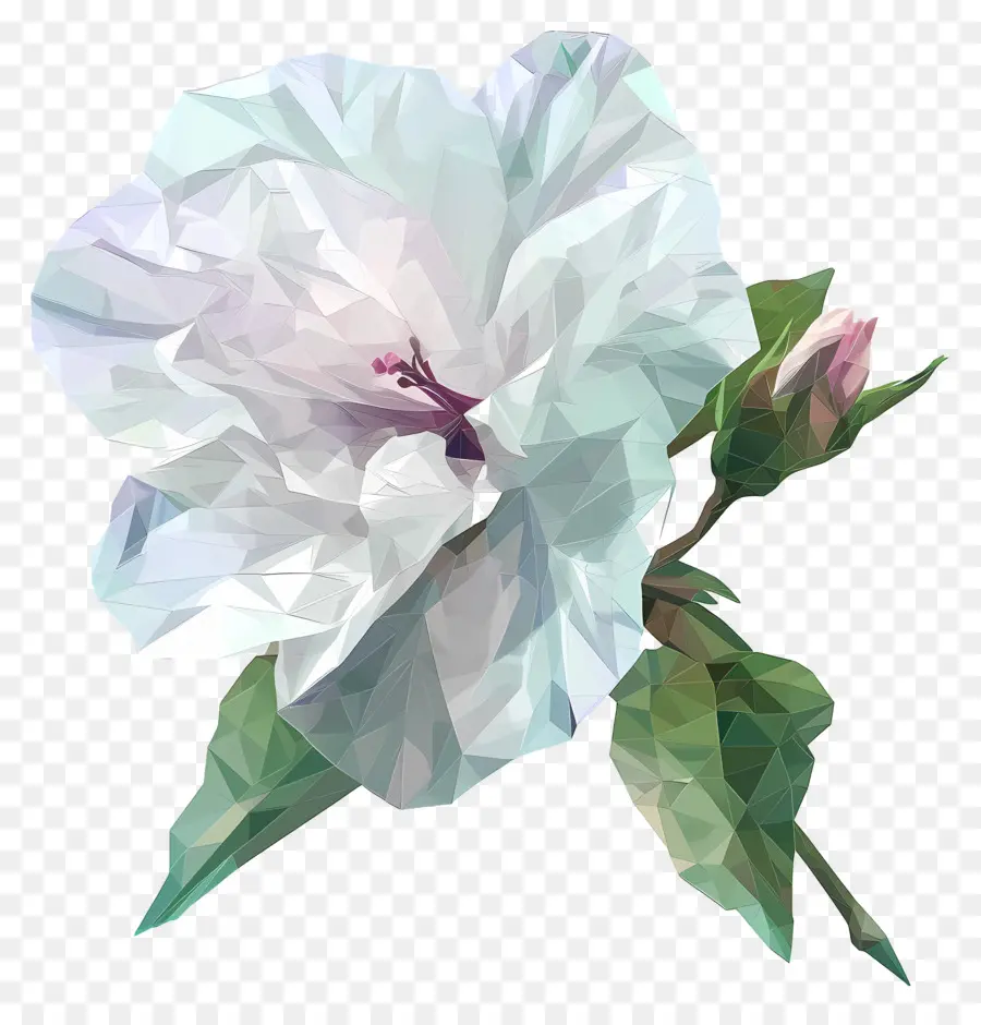 فن الزهور الرقمية，الكركديه الأبيض PNG