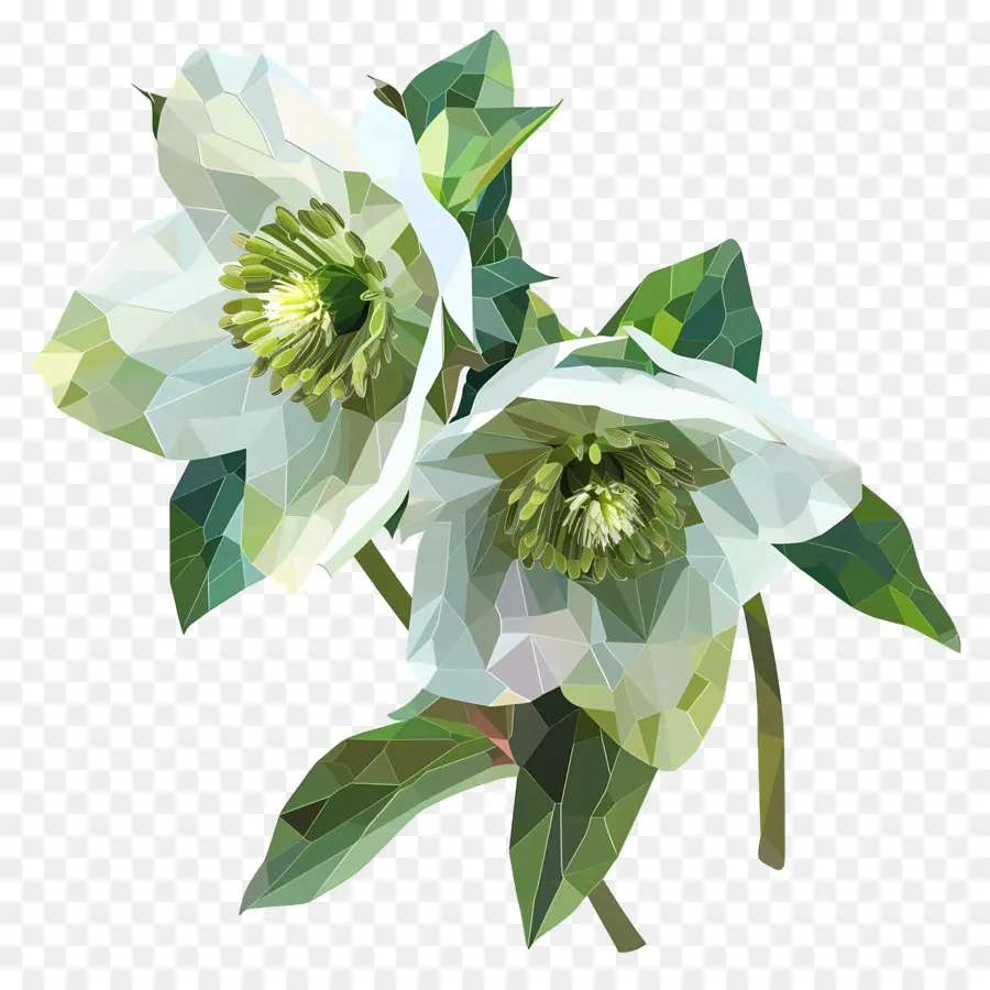 زهرة رقمية，الزهور البيضاء PNG