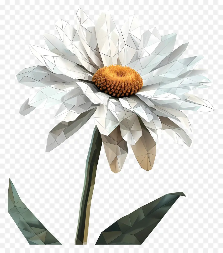 فن الزهور الرقمية，زهرة الأقحوان PNG