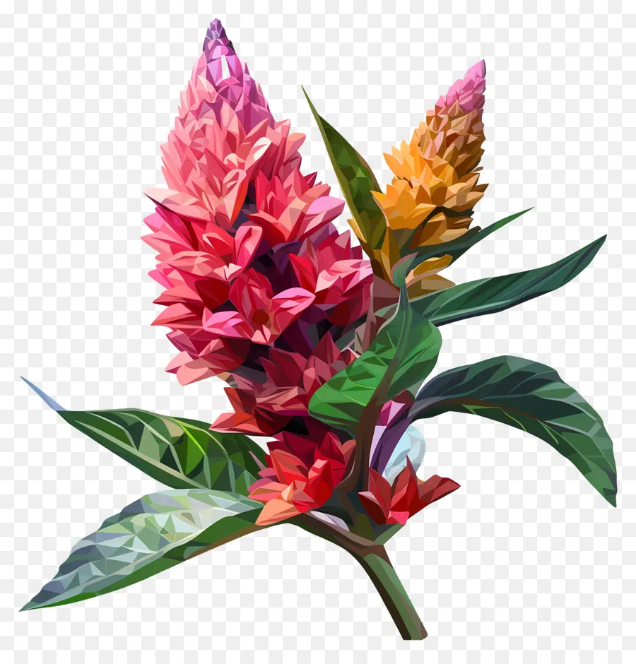زهرة رقمية，الزهور الملونة PNG