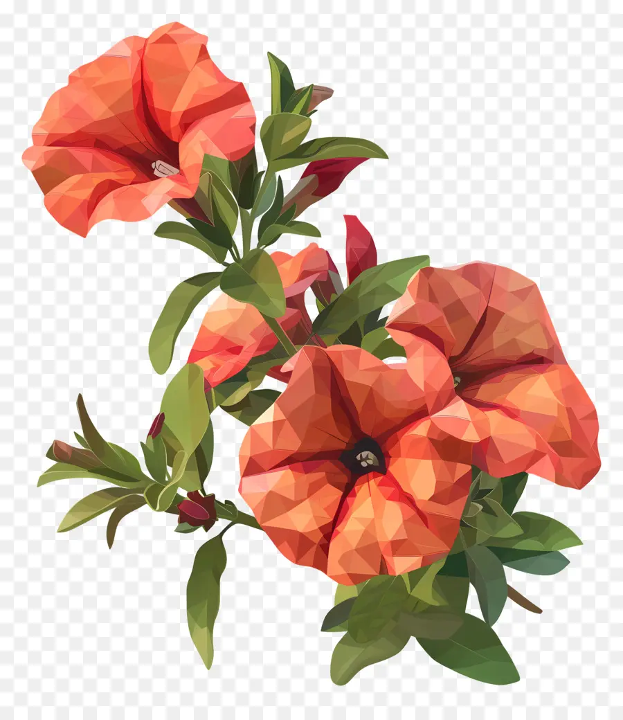 زهرة رقمية，زهور البرتقال PNG