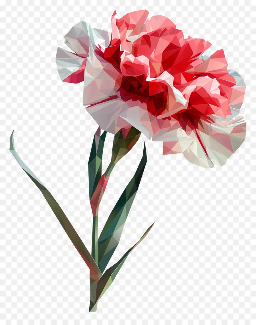 زهرة رقمية，القرنفل الوردي PNG
