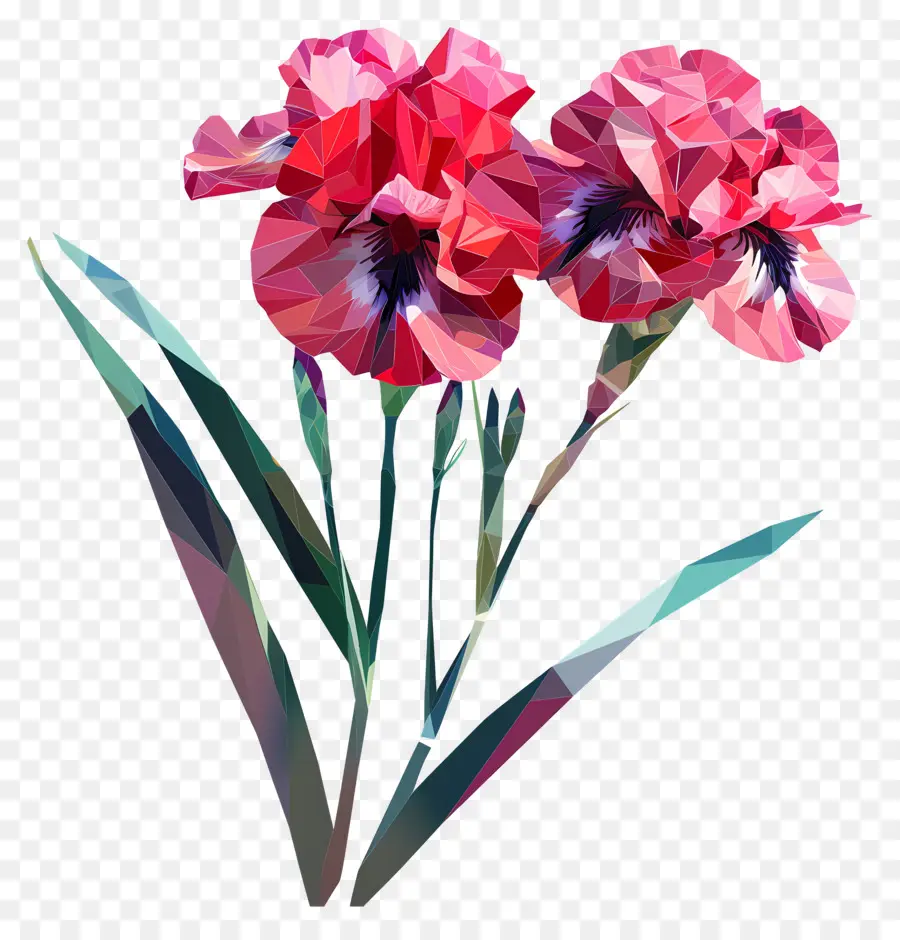 زهرة رقمية，القزحية الوردية PNG