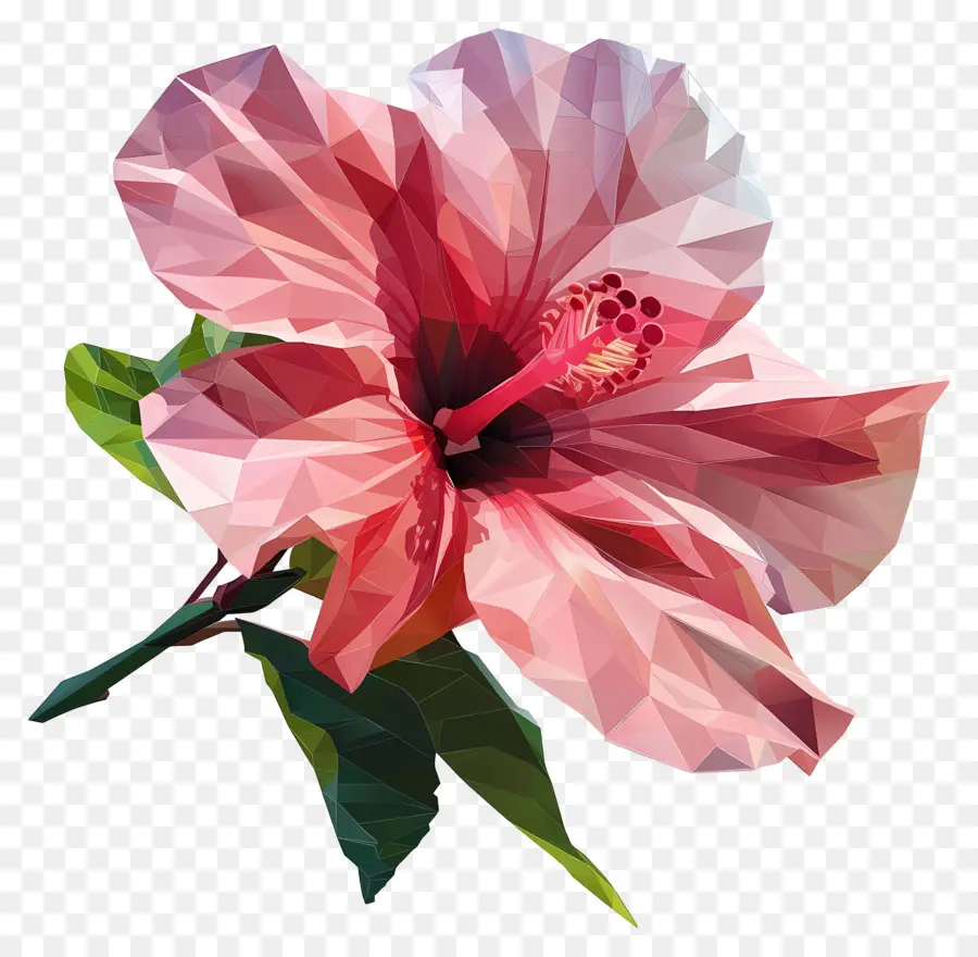 فن الزهور الرقمية，الوردي الكركديه PNG