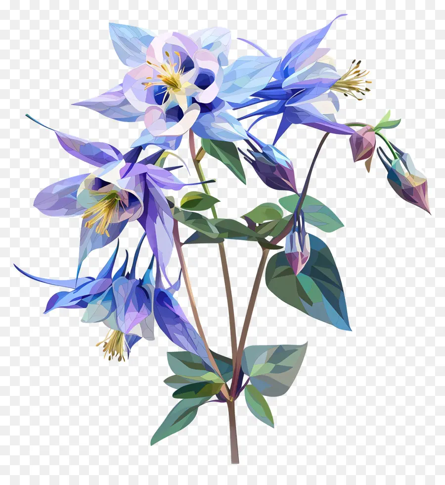 زهرة رقمية，زهور كولومبين الأزرق PNG