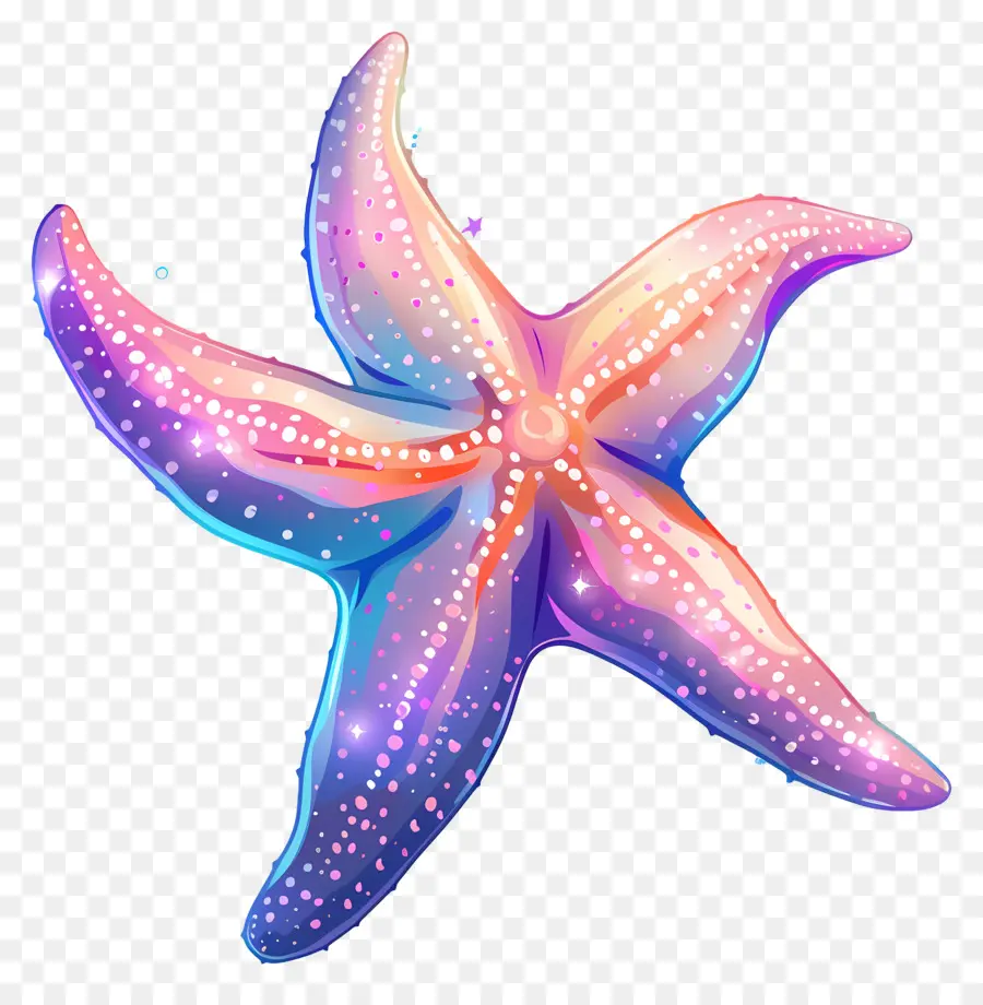 نجم البحر لطيف，Starfish Starfish PNG