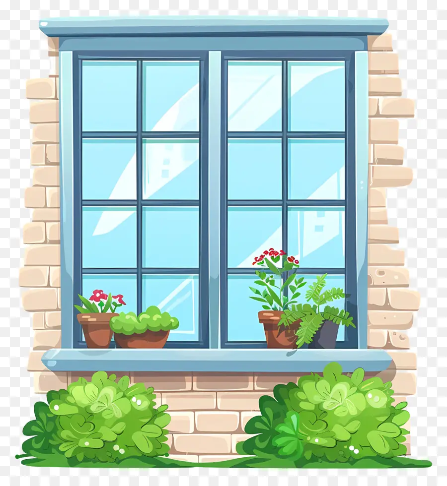 نافذة المنزل，نباتات النوافذ PNG