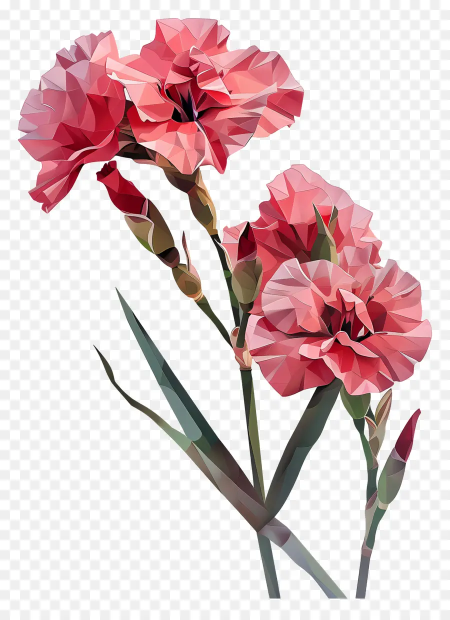 زهرة رقمية，زهرة الوردي PNG