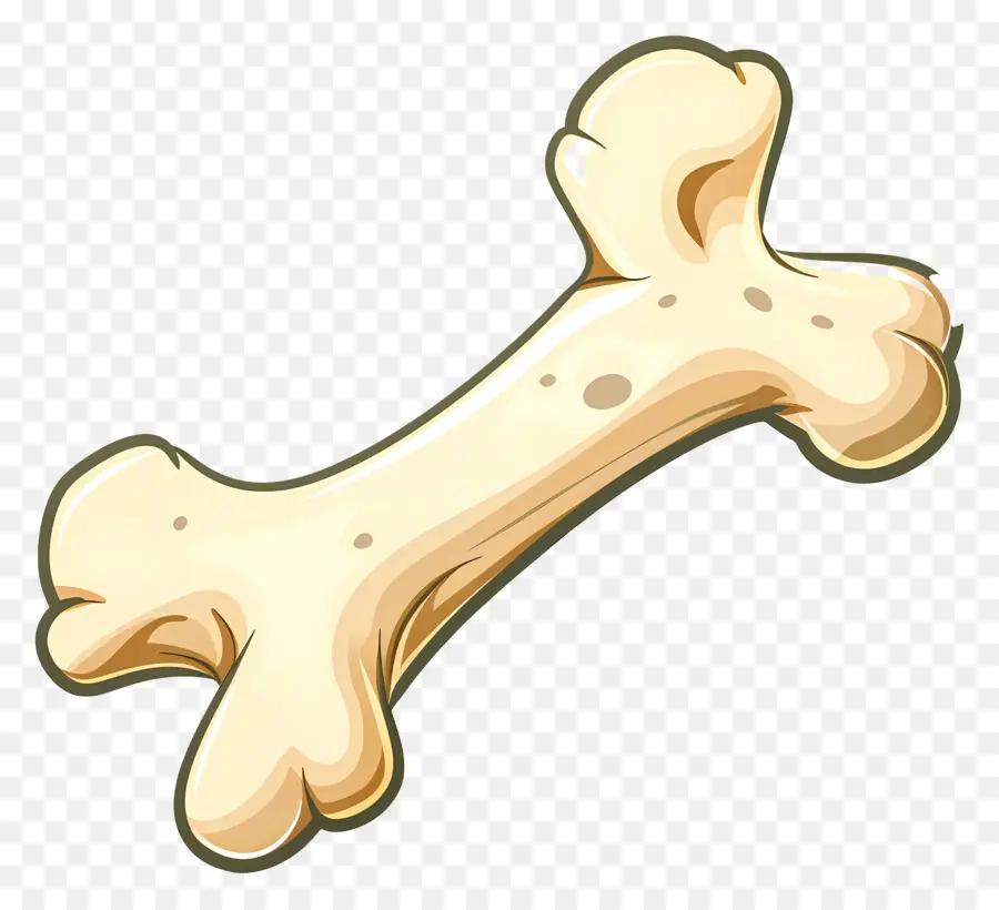 الكلب العظام，عظم الفخذ الكلب PNG