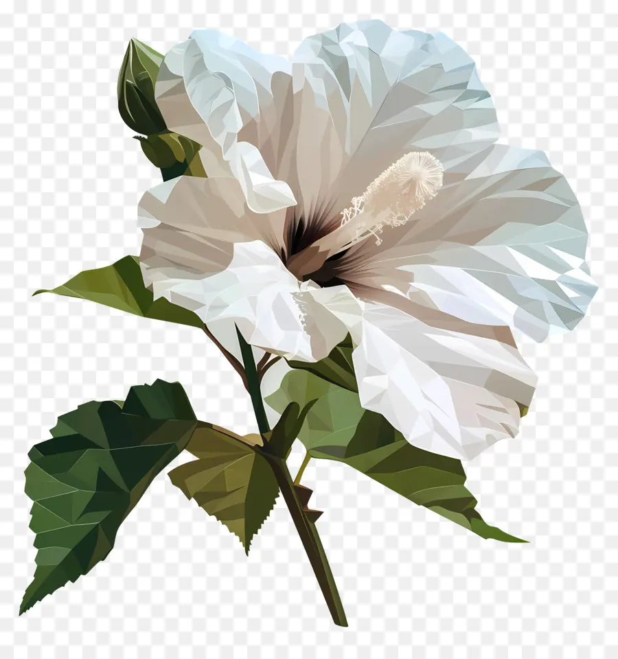 فن الزهرة الرقمية，زهرة الكركديه PNG