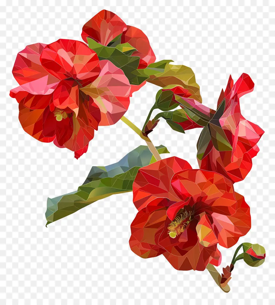 زهرة رقمية，زهور الكركديه الأحمر PNG