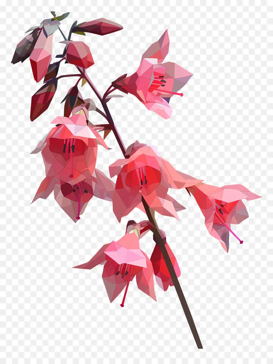 زهرة رقمية，الزهور الوردية PNG