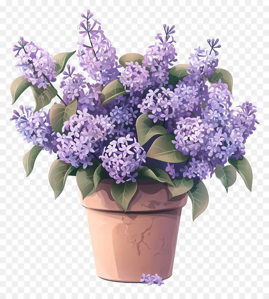 الزهور أرجواني，أصيص الزهور PNG