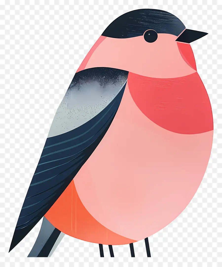 الطيور，Redcrested الكاردينال PNG