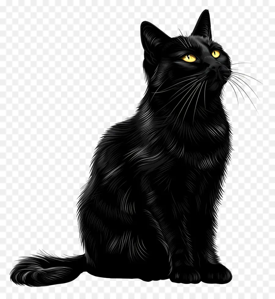 القط الأسود，عيون صفراء زاهية PNG