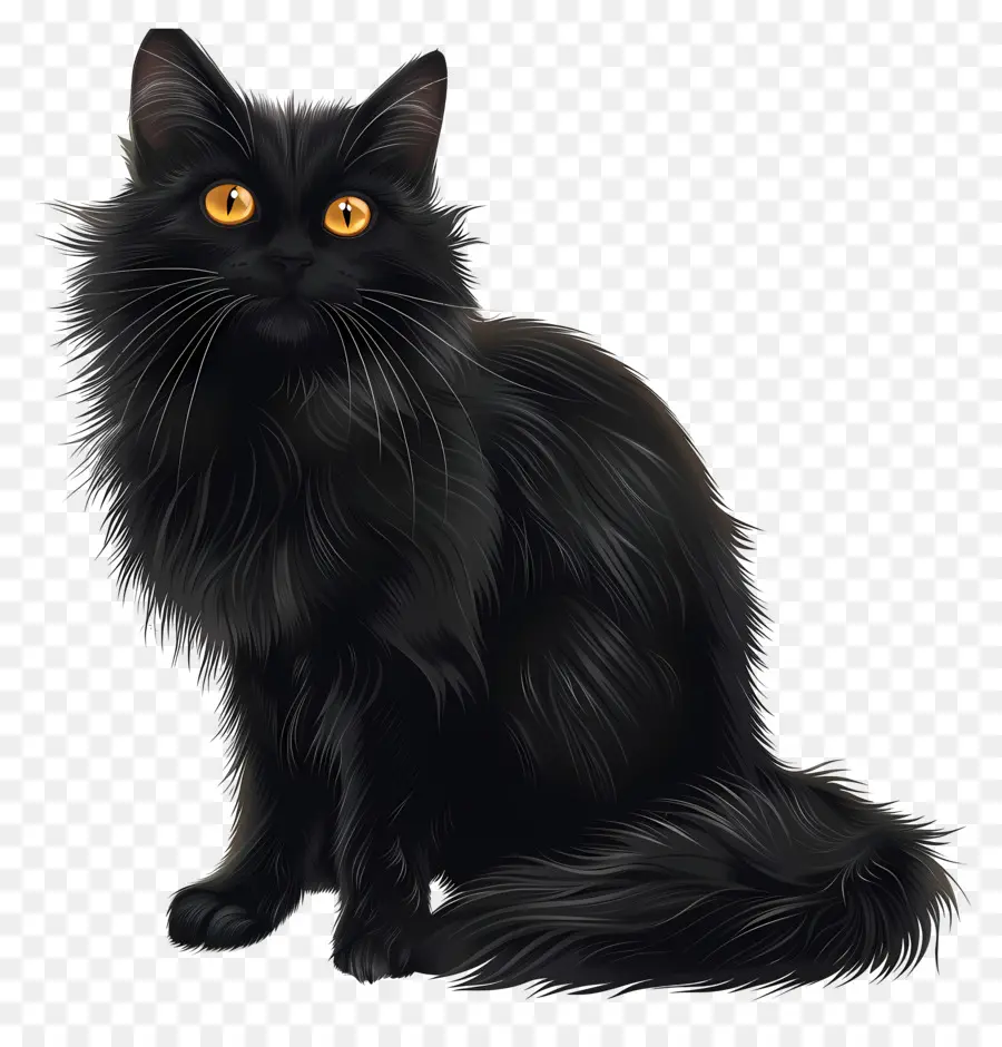 القط الأسود，عيون ذهبية PNG